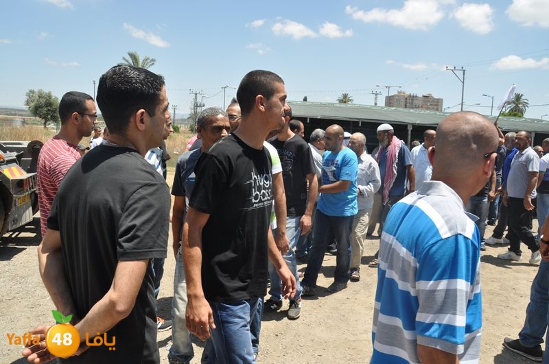 sol7desoqylud615 (58).JPG